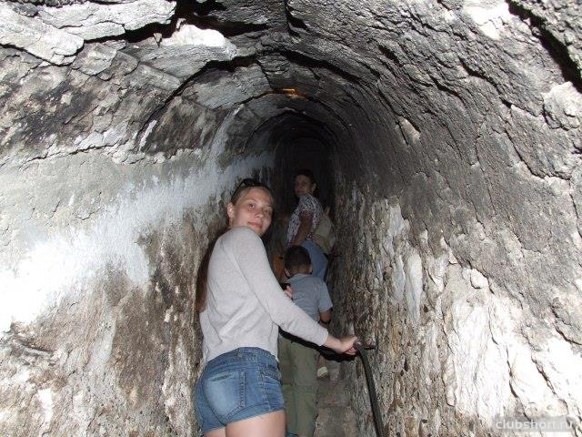 58229_14.jpg